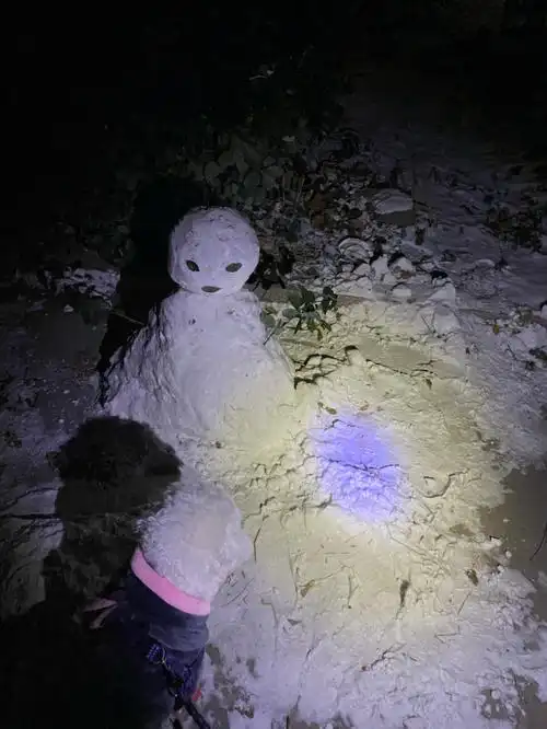 这是什么阴间雪人