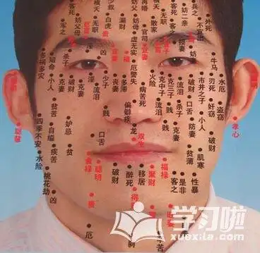 男生睾丸皮上有痣相术详情