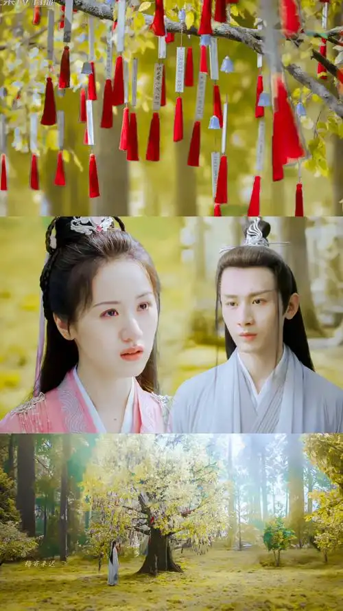 成毅|禹司凤×袁冰妍|褚璇玑