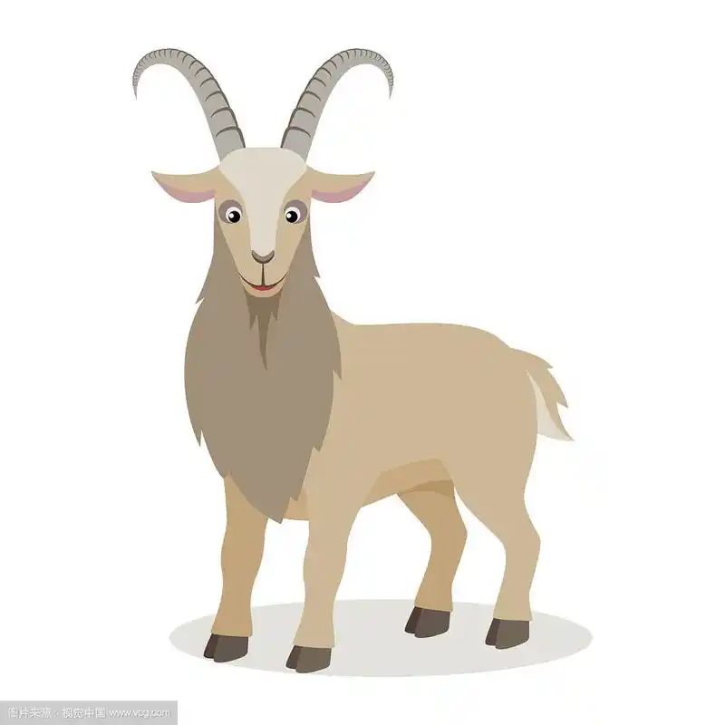 卡通山羊在不同的姿态在平面风格