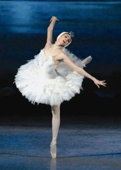 求一张黑天鹅高清剧照