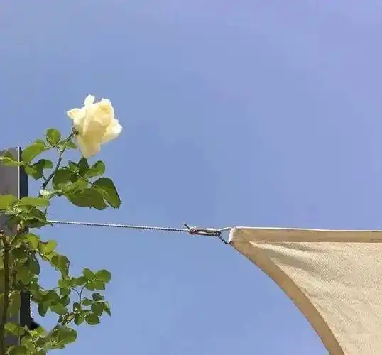 背景图高级小众ins风背景图