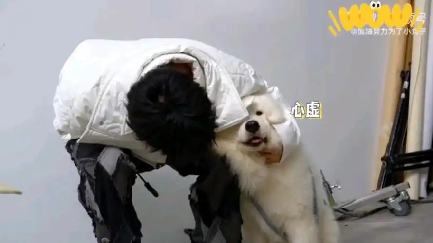 【刘耀文x土豆】好萌的两只修勾,土豆:你看我敢动吗?