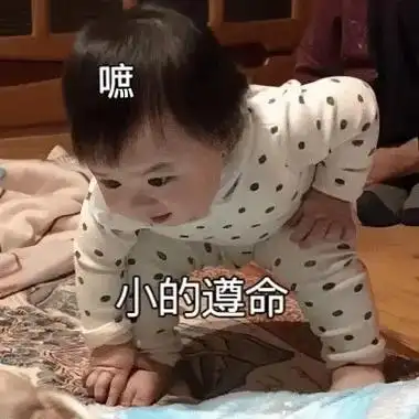 毕恭毕敬.#哈温 #黄夏温 #哈温表情包 #抖音表情包 #抖 - 抖音