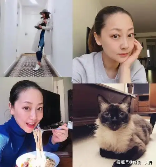 晒晒张卫健住的千万豪宅跟老婆一直过二人世界家里没有儿童房