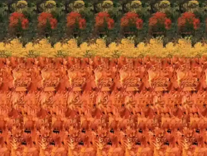 三维立体图裸眼3d秋天到了树叶黄了