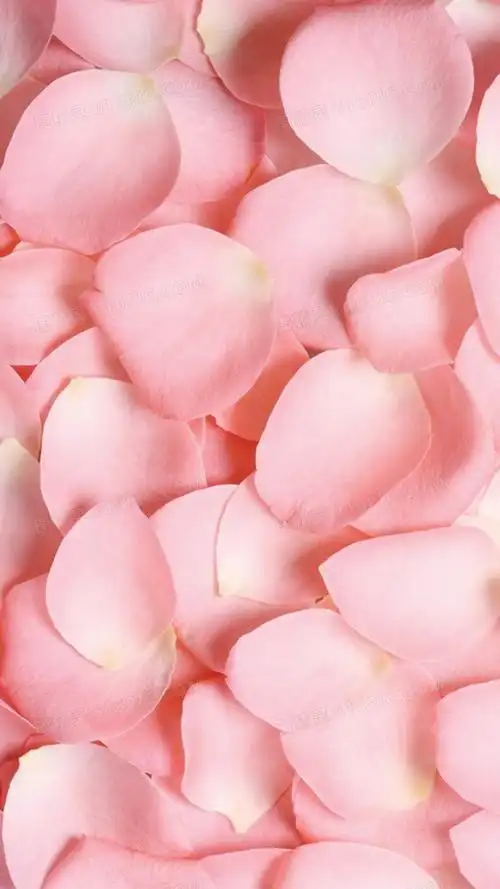 唯美粉色高雅蕾丝婚礼印刷品背景素材