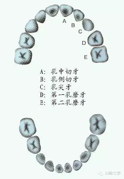 不要让牙齿影响孩子的心理健康