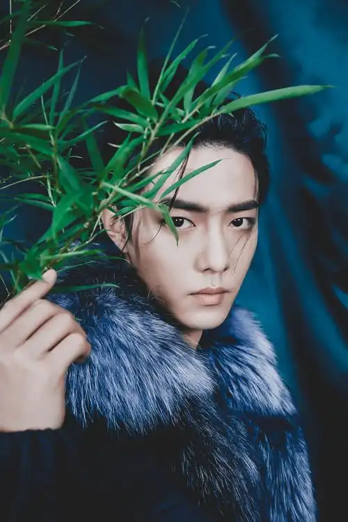 肖战 芭莎电子刊 190705 - 堆糖,美图壁纸兴趣社区