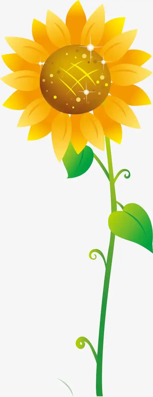 矢量卡通向日葵花朵图