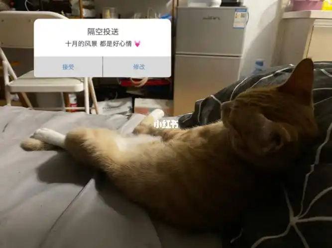 还以为旁边睡了个人