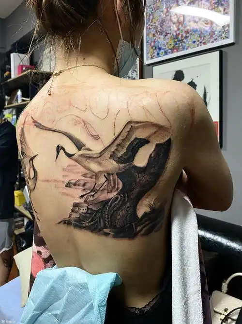 鹤语_纹身图案手稿图片_和舟的纹身作品集