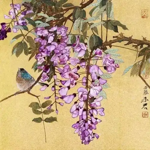 【未君部分紫藤作品赏析】 未君,斋号铁笛吹花,湖南益阳人,当代工笔画