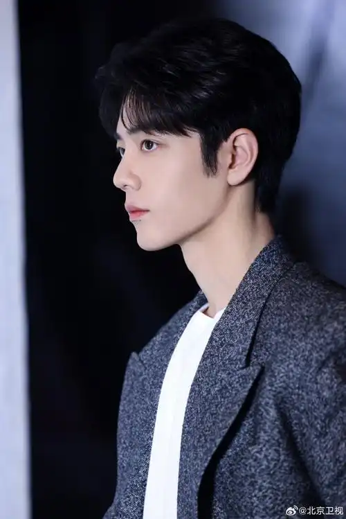 肖战写真碎片掉落