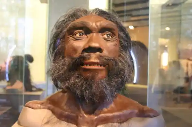 10万年前地球上至少有6种人类为何最后只剩下了我们