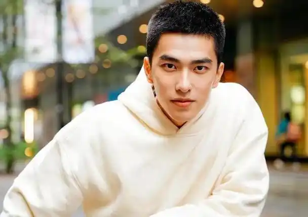 台湾新生代男演员:魅力何在?