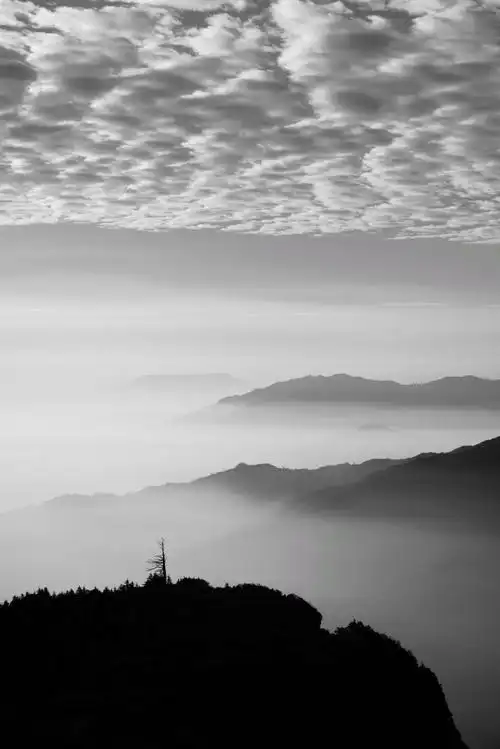 tuziphoto##手机摄影