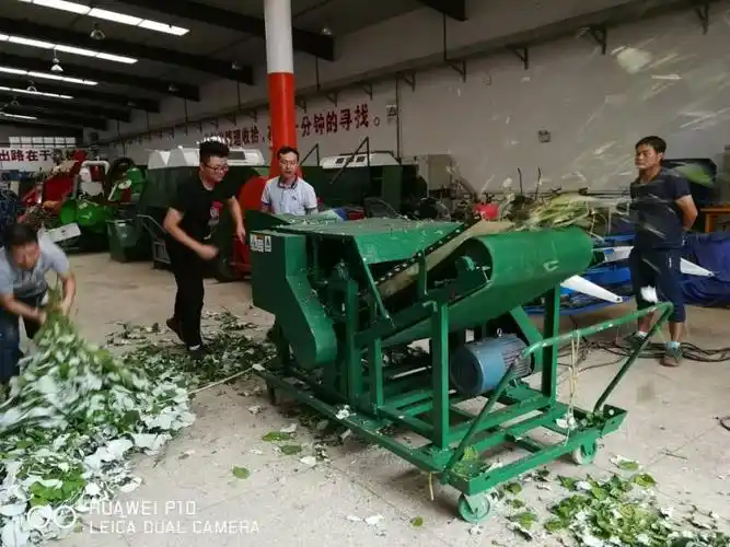 9zm-7型饲用苎麻专用切碎机研制成功