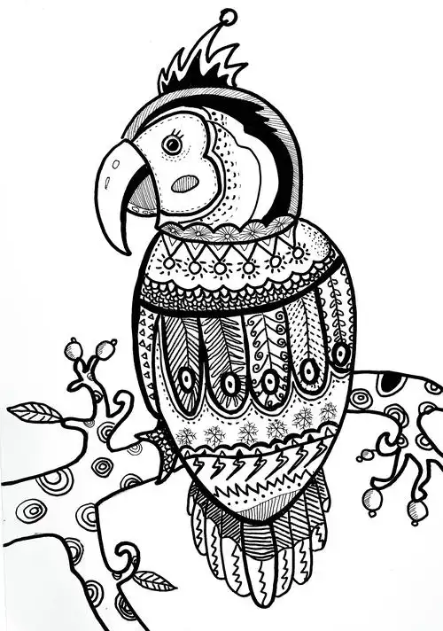 线描很幼稚超美的黑白装饰画跟着一根线条探索