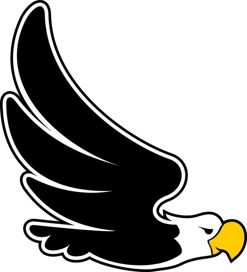 鹰飞卡通,矢量图像的孤立的白色背景上的幼稚飞鹰设计