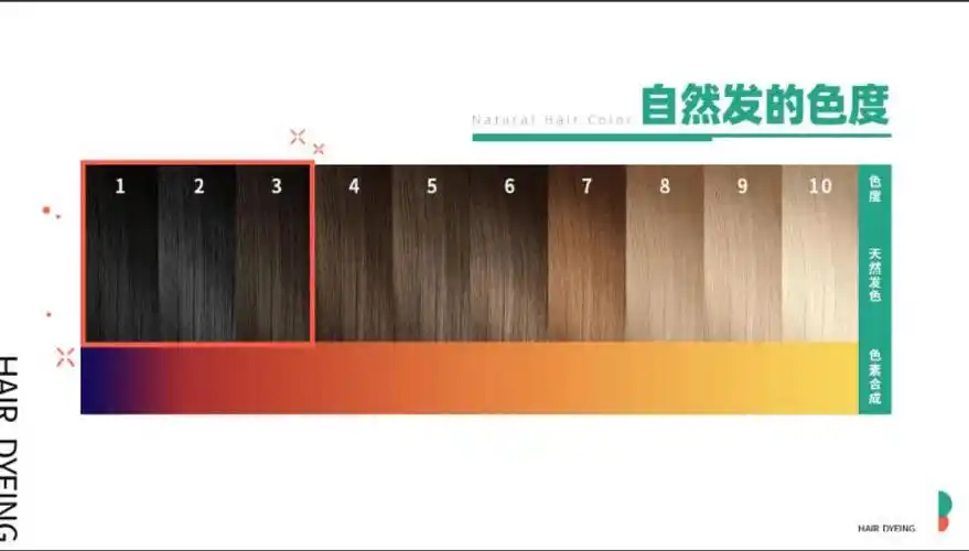 9次发 这个隐患不得不防_头发_克莱因_染料