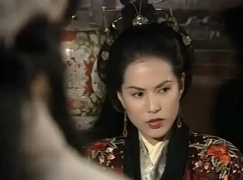 王语嫣妈妈王夫人是谁为什么让不会武功的她外出目的何在