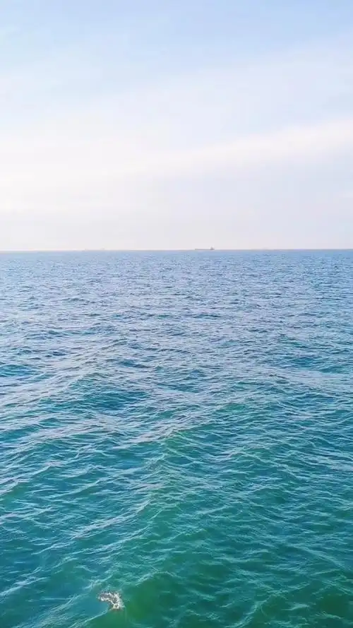 平静的大海,晴朗的海空.