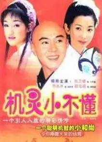 30集全机灵小不懂2000电视剧9.