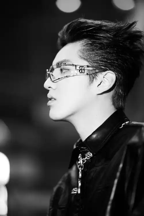 吴亦凡酷黑夹克写真图片