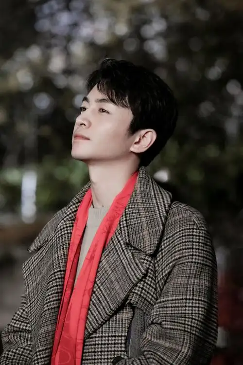 电视剧无与伦比的美丽##陈晓许耀