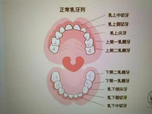 "保护牙齿,从小做起."——旧馆镇时代幼儿园中班组健康活动.
