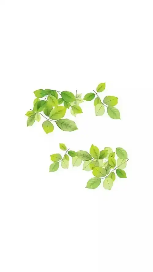 熙宝宝の 白底壁纸