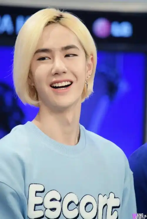 全能艺人:王一博个人简介