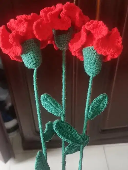 康乃馨图解来了