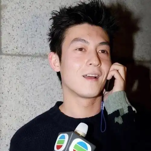 一组陈冠希头像