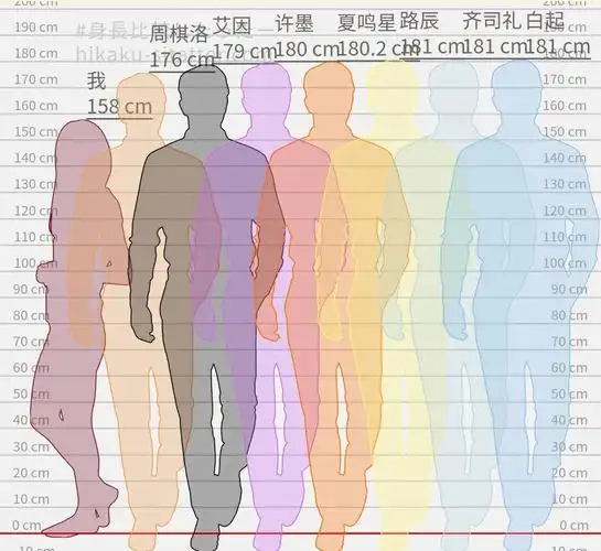 国乙纸男人身高对比