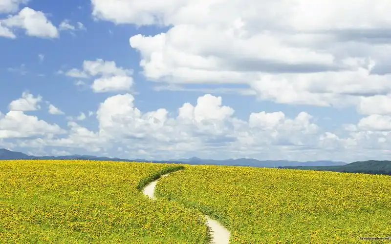 感受大自然主题壁纸_风景_太平洋电脑网
