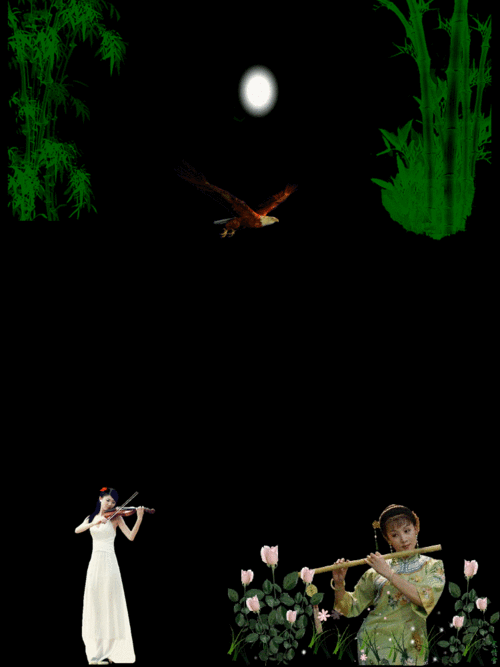 转载gif动图一组芭蕾舞动图素材