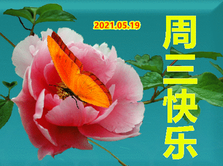 2021年5月26日星期三清晨早上好问候祝福动态表情图片周三最新早安