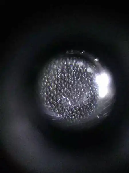 犀牛角做成顶珠之后怎么分辨真假