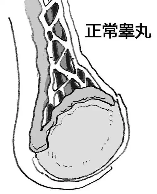 南楠说科普别让淡淡的忧伤可能变成蛋蛋的悲剧上