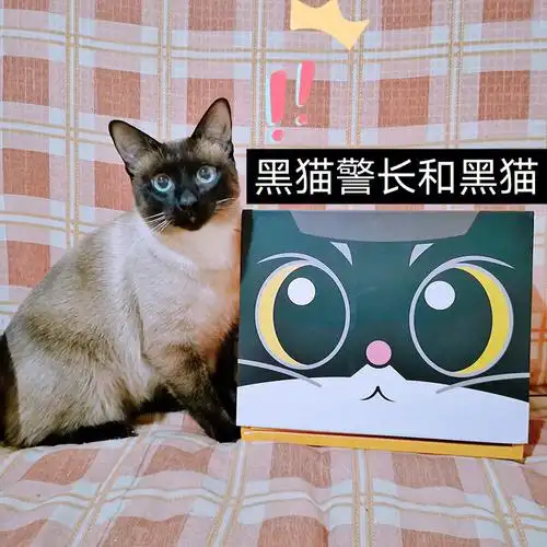 不是所以黑猫都能变黑猫警长因为有的是黑猪
