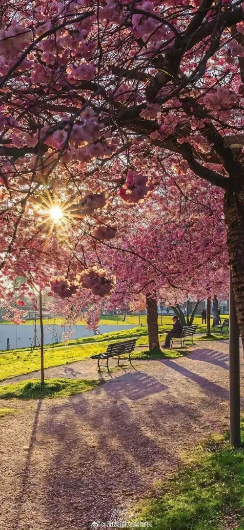 朋友圈文案##文案##壁纸##手机壁纸##无水印壁纸##高清壁纸##堪爱