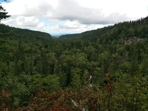 长白山谷底森林