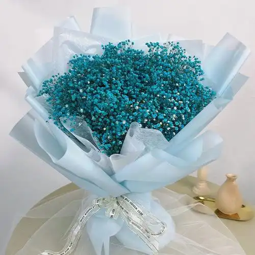 满天星干花花束大束生日礼物永生花云南鲜花天然风干真花超大束