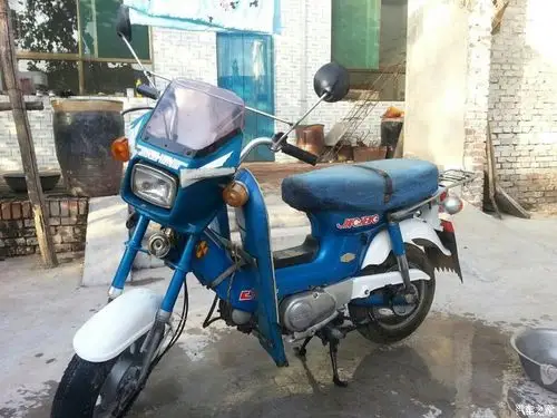 金城70,瞎折腾,累够呛,不少花,重生记!