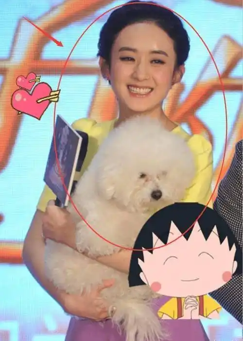 赵丽颖真人长啥样路人生图才是照妖镜离开ps后颜值太真实了