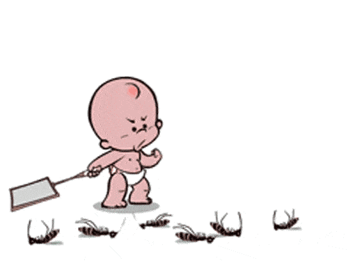 根据种类下药方,蚊子,蟑螂,苍蝇,一杀一个准!-健康频道-手机搜狐