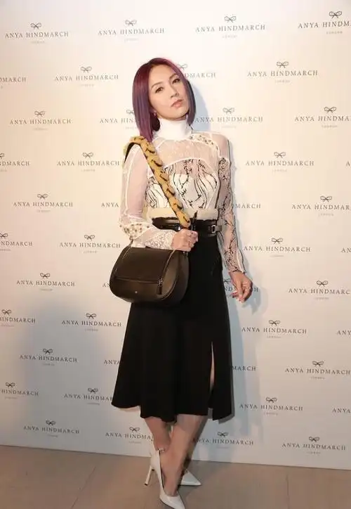 杨千嬅身上有点肉但是穿薄纱透视裙气质挺好优雅又有个性