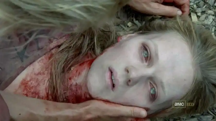 求行尸走肉的这张高清剧照